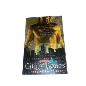 The Mortal Instruments Book Paperback